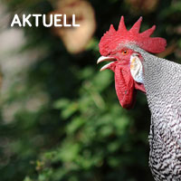 Aktuell